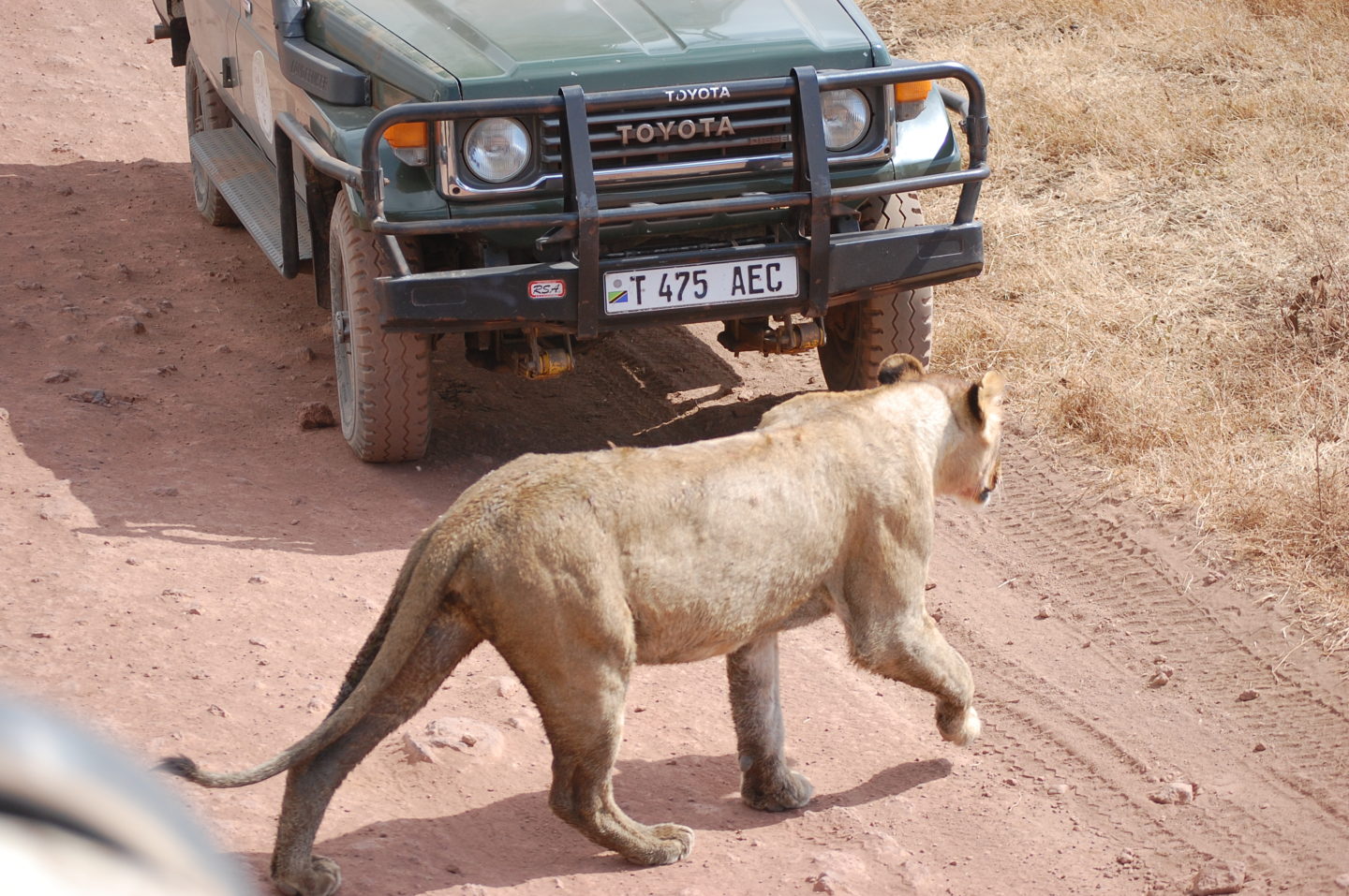 Why what you have is never enough