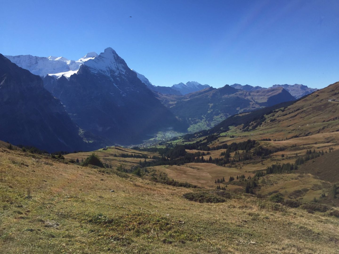 Hiking in the mountains of Grindelwald
