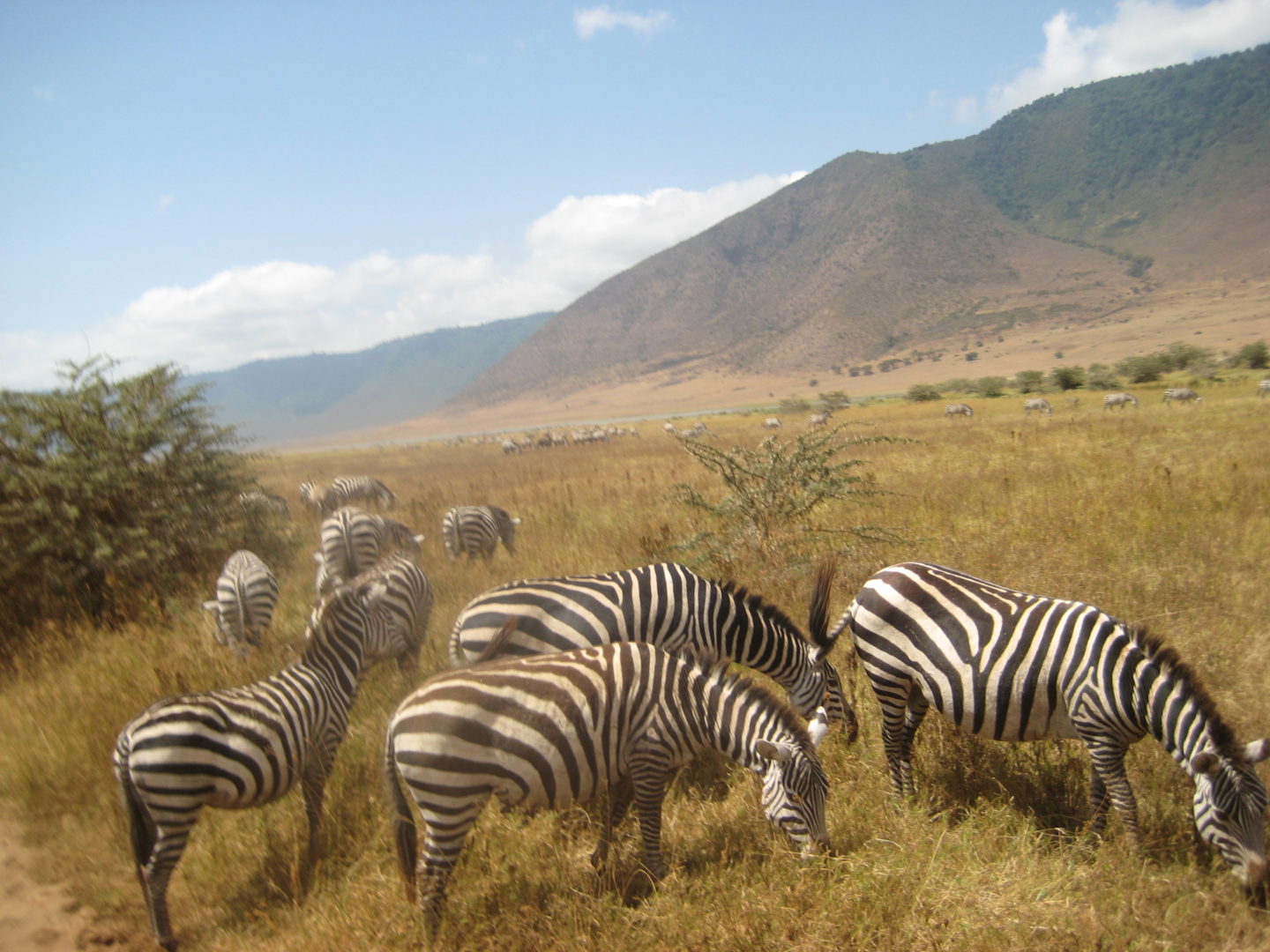 Ngorongoro Crater -heaven for wild animals