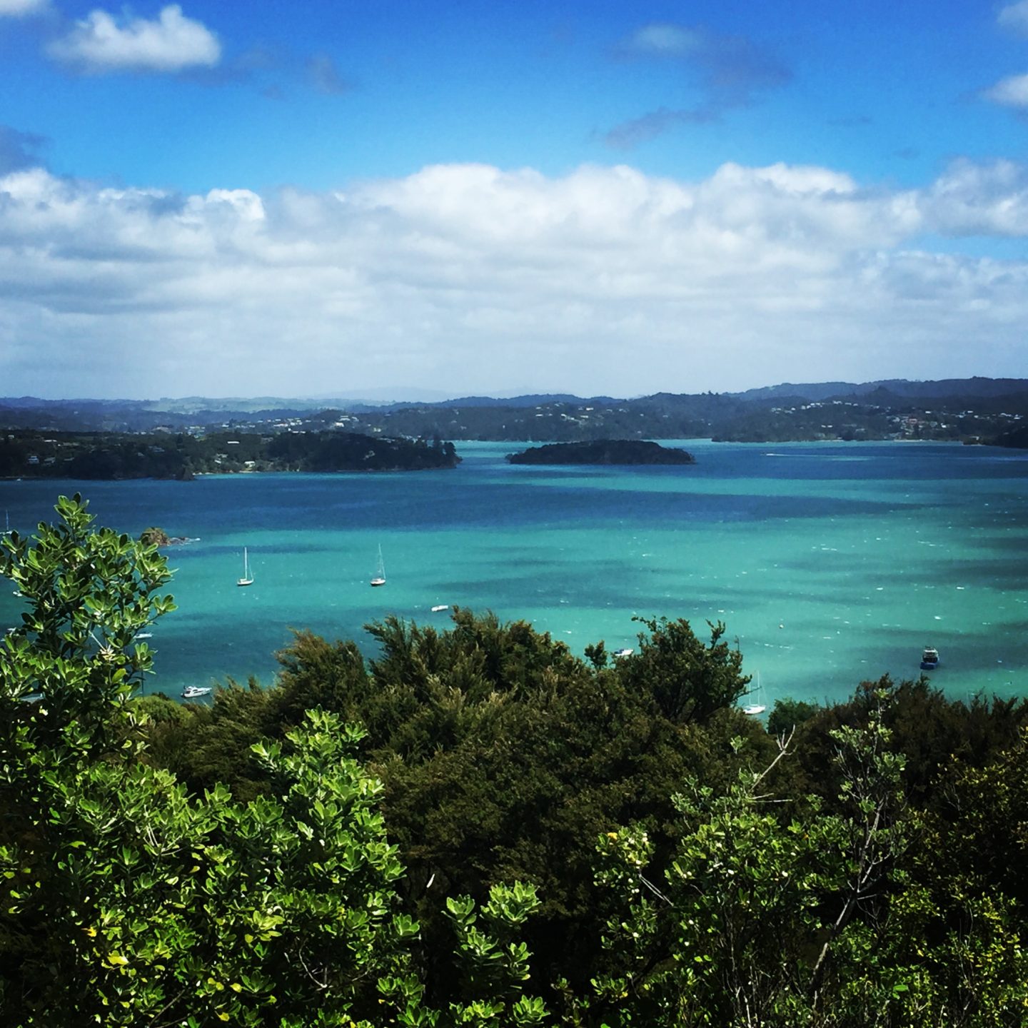 Our journey across New Zealand’s north island