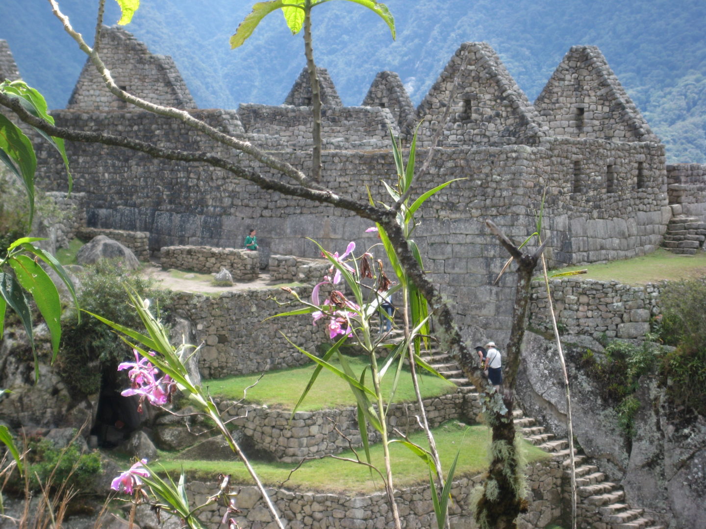 Traversing the 43km Inca Trail to get to Machu Picchu