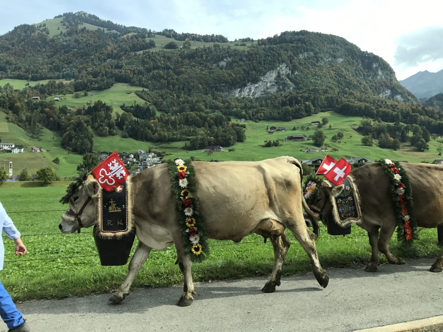 Places to visit in Switzerland