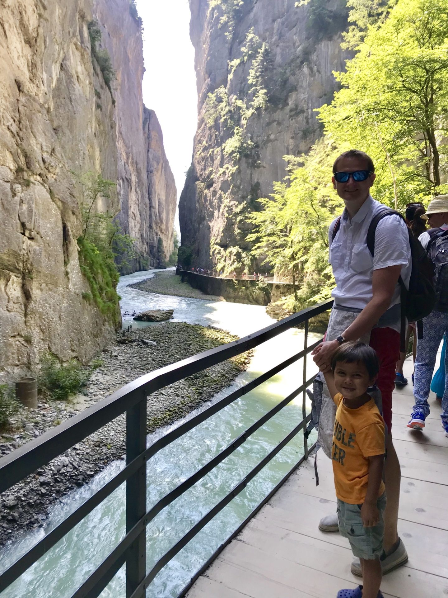 Aare Gorge and Reichenbach Falls with Kids