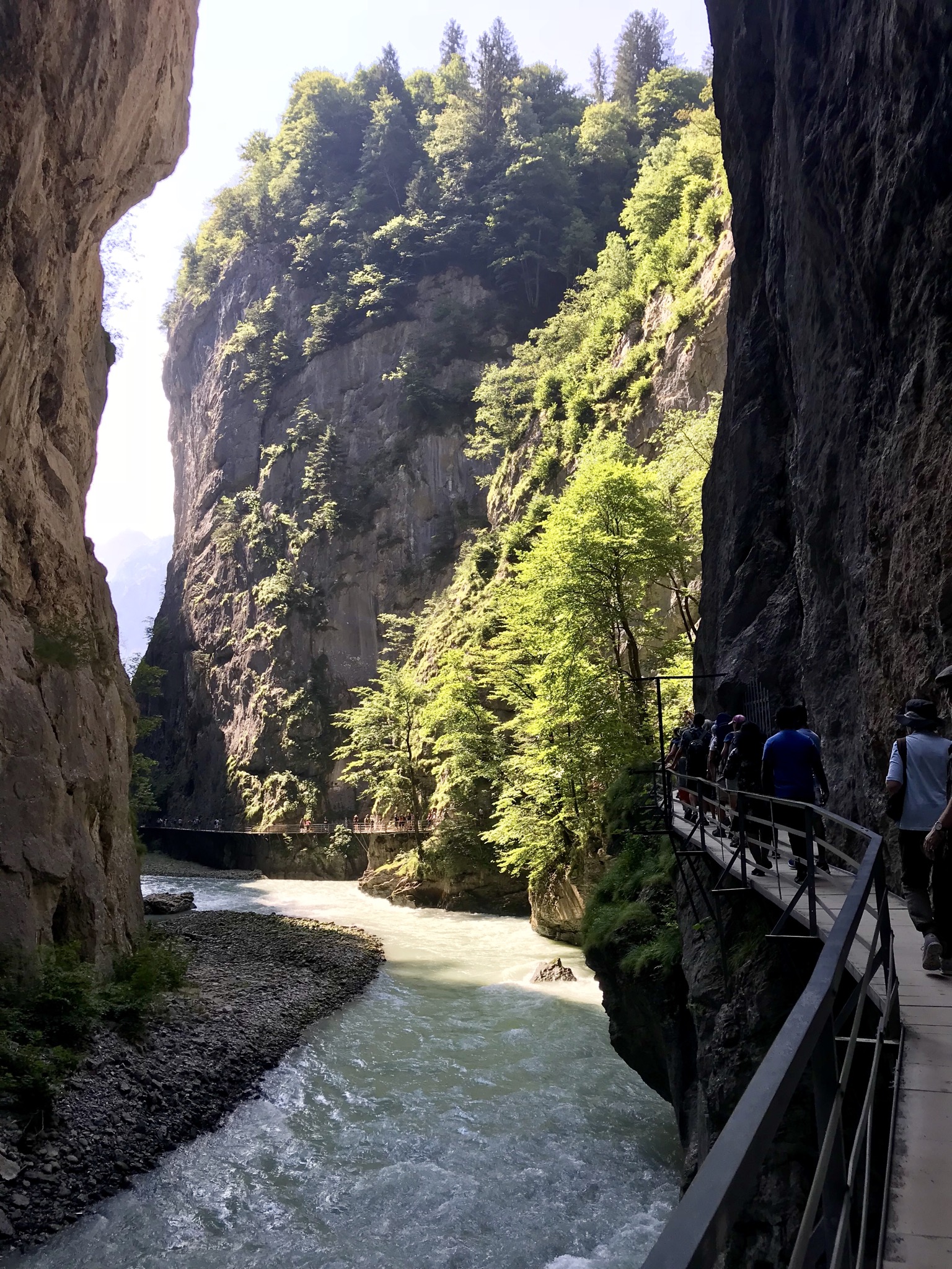 Aare Gorge and Reichenbach Falls with Kids -Travel Muse Family