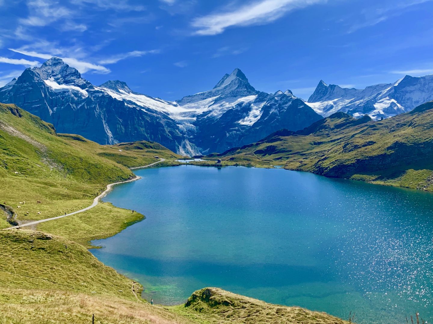 Schynige Platte to First Hike