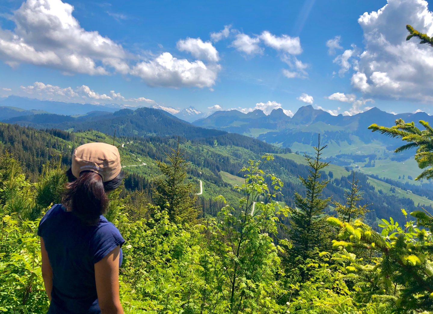 Gantrisch Panorama Trail