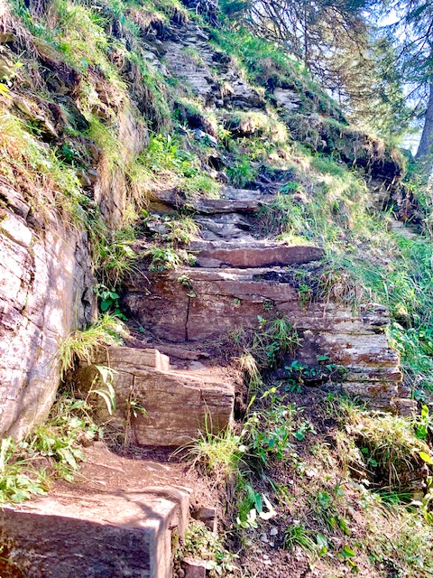 Hardergrat Trail Hike from Harder Kulm to Augsmatthorn 